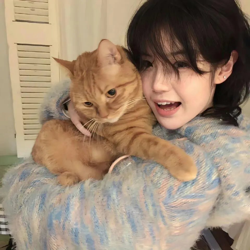 威龙猛探